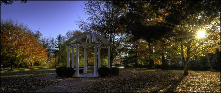 DSC_2175_76_77_78_79_80_81-Edit