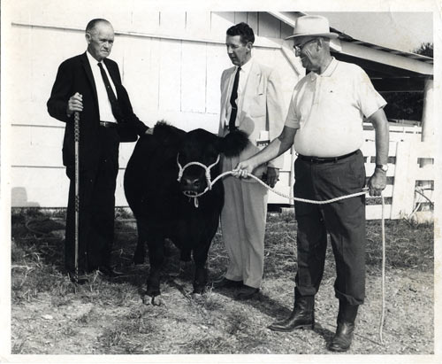 Harvey Brooks (left) & George Wheeler (center)